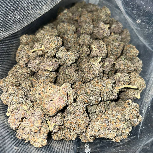Blazin Biscotti Weed