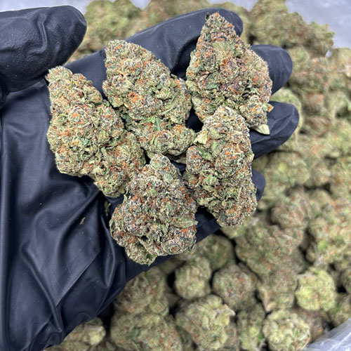 Blow Pop Weed