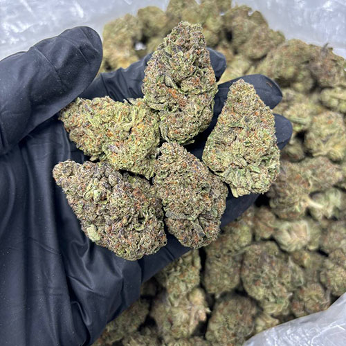 Cream Cake Weed