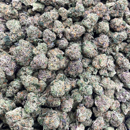Gelato Runtz Weed