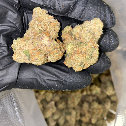 Peach Nerdz Weed