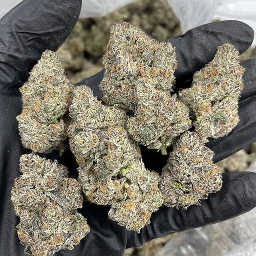 Rainbow Pie Weed