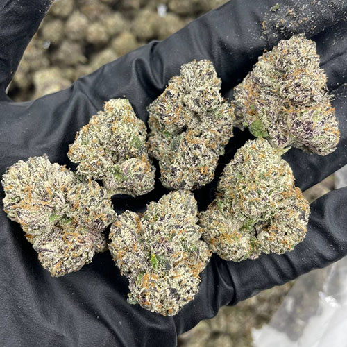 VVS Lemons Weed