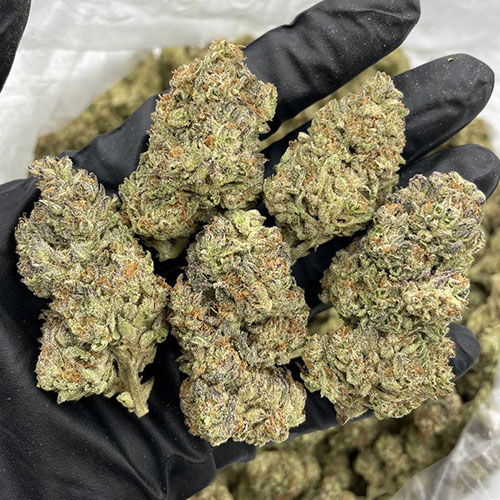 Wedding Crasher Weed
